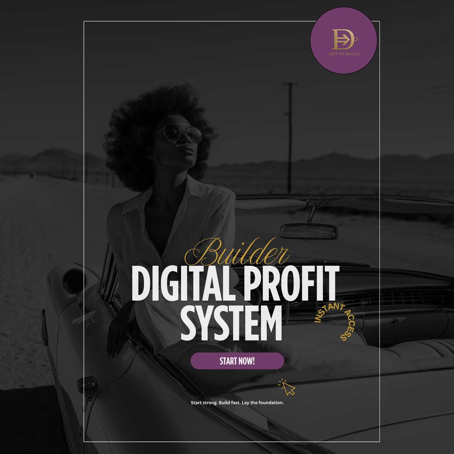 Digital Profit System (Builder Level)
