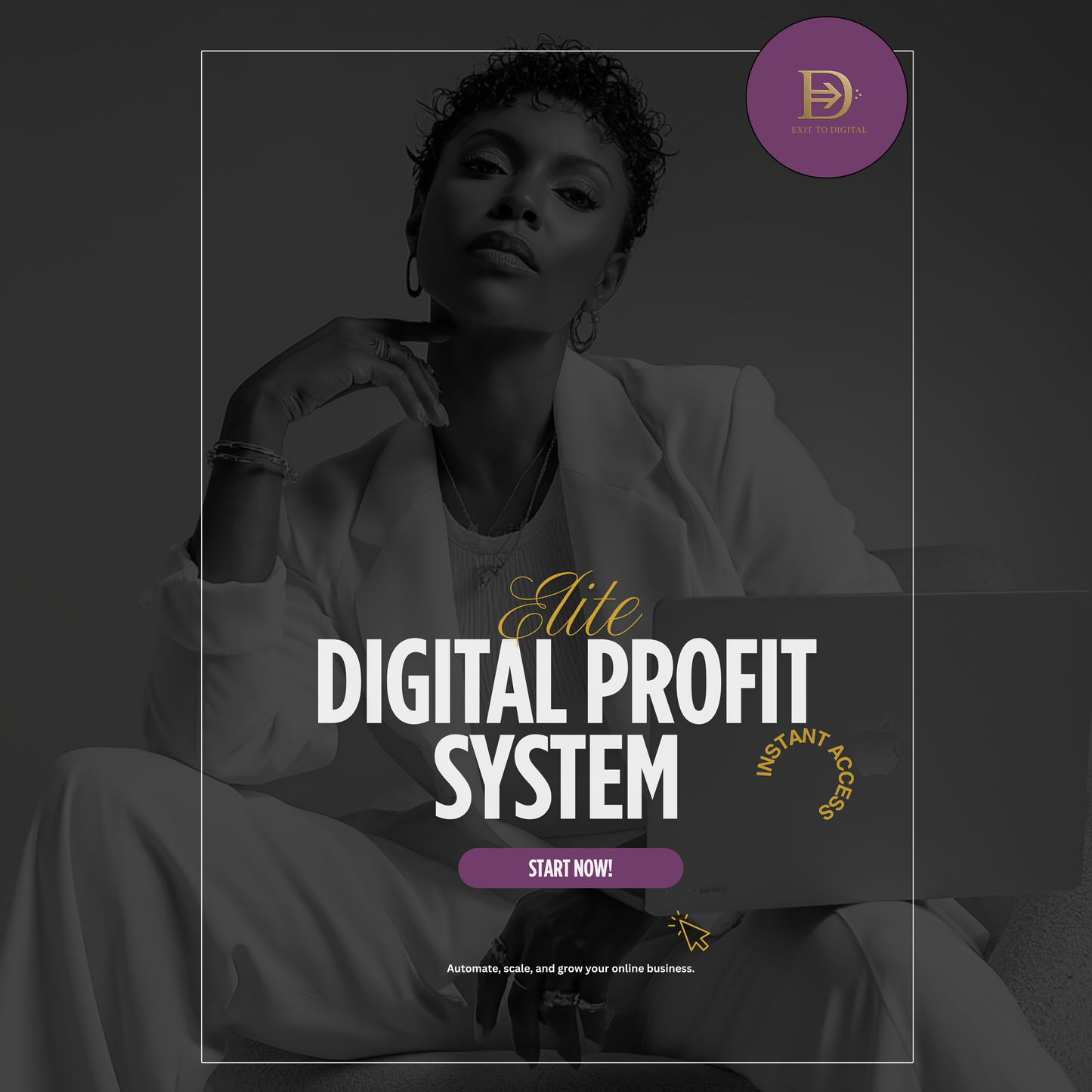 Digital Profit System (Elite)