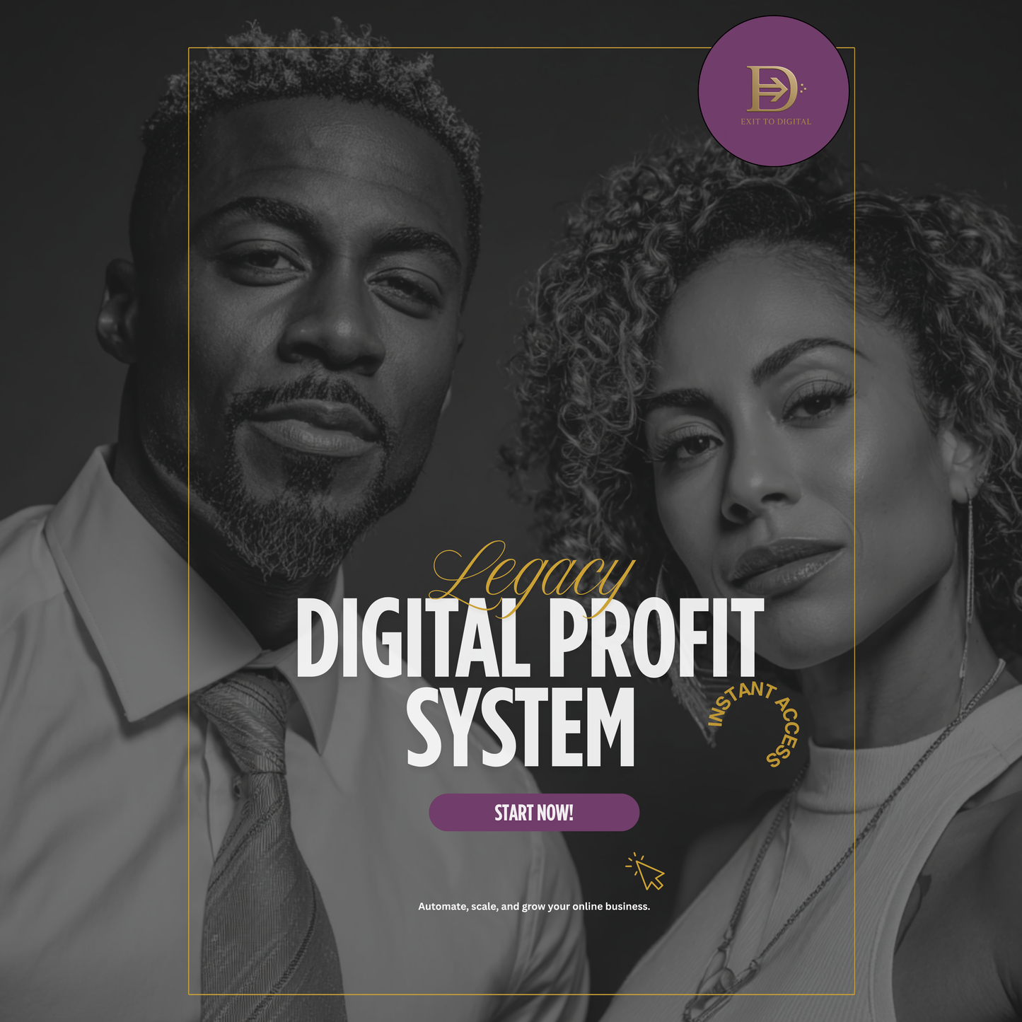 Digital Profit System (Monthly Membership) (Copy)